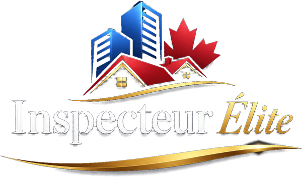 Inspecteur Élite